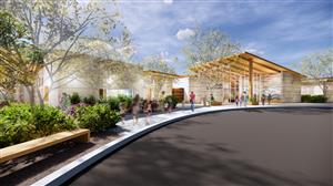 Entry view rendering 